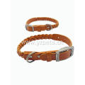 2 Inchi Agitation Dog Collar